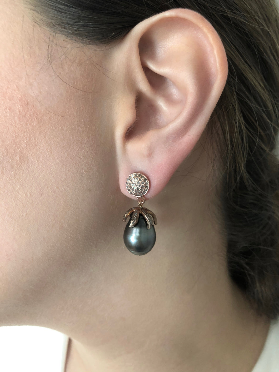 Tahitian Pearl Earrings