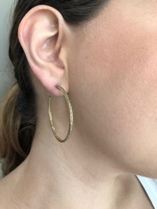 Hoop Earring