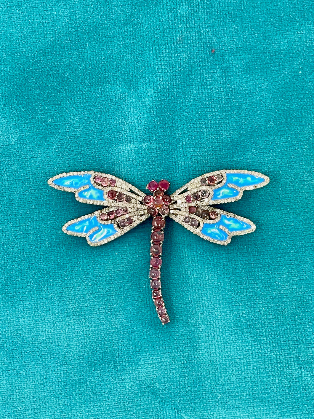 Colorful Dragonfly